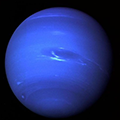 Neptunus